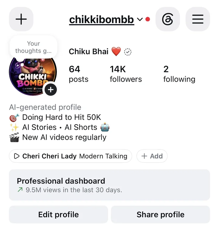 Instagram profile showing 14K followers on chikkibombb